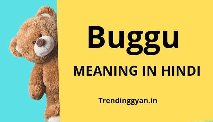 Buggu meaning in hindi | buggu मतलब क्या होता है ?