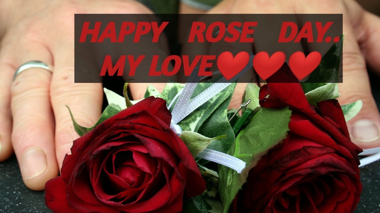 Happy rose day my love